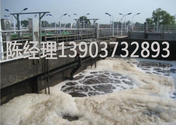 屠宰，養殖廢水處理